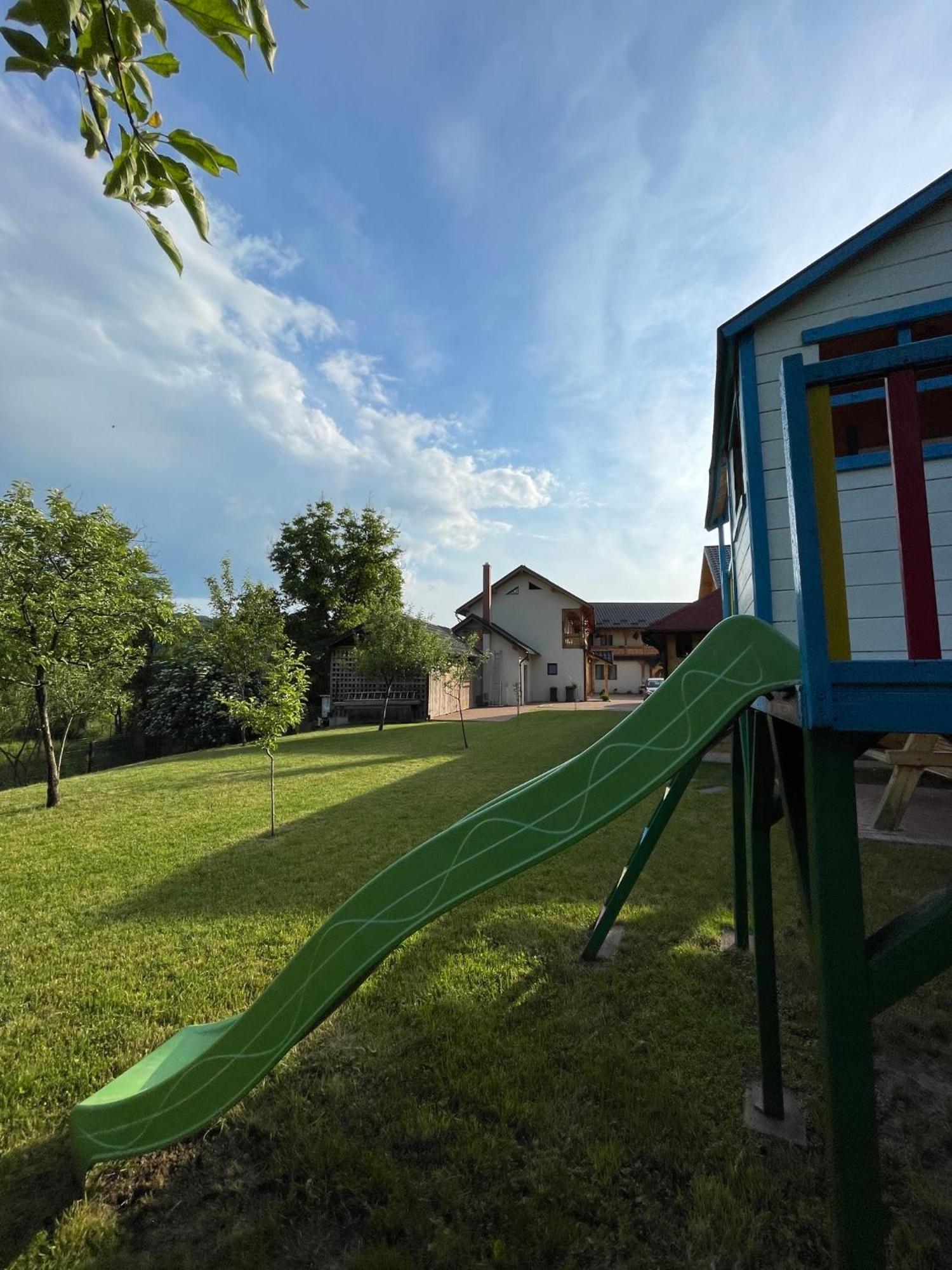 Pensiunea Valea Muntelui Birsana Екстер'єр фото